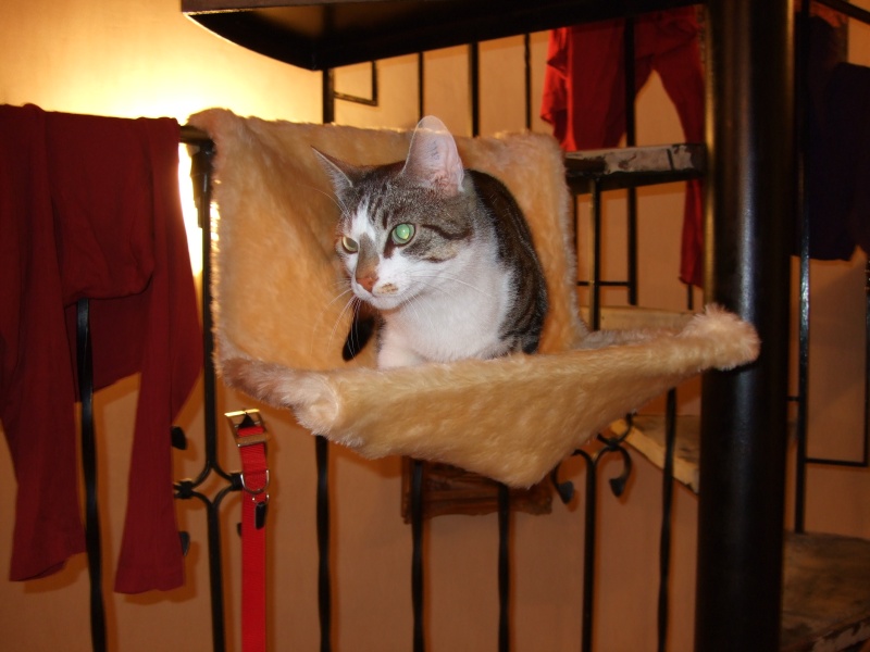 Ostern 2007 Orleshausen 102 